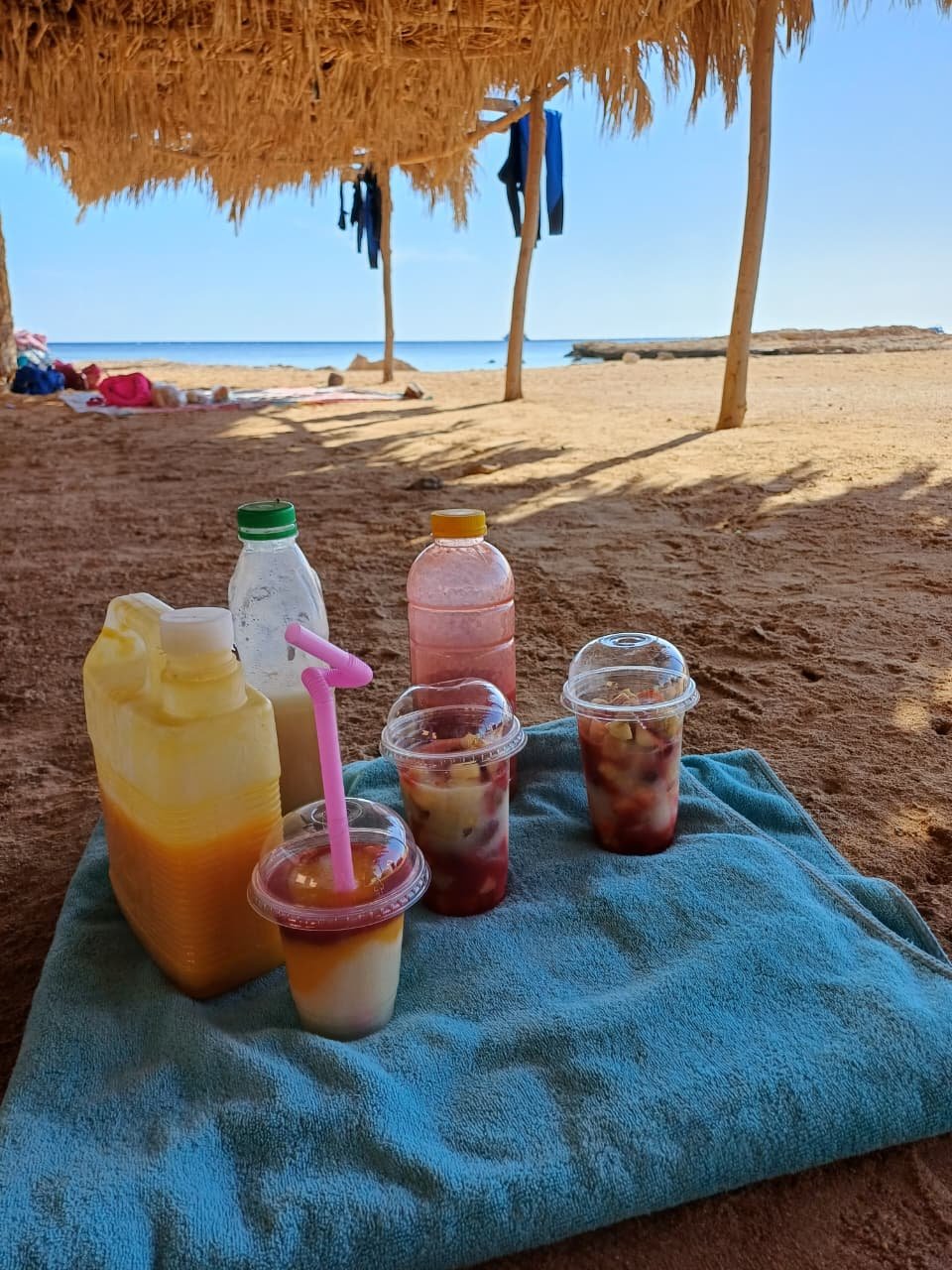 Ras Mohamed National Park (Private by car) - Image 3