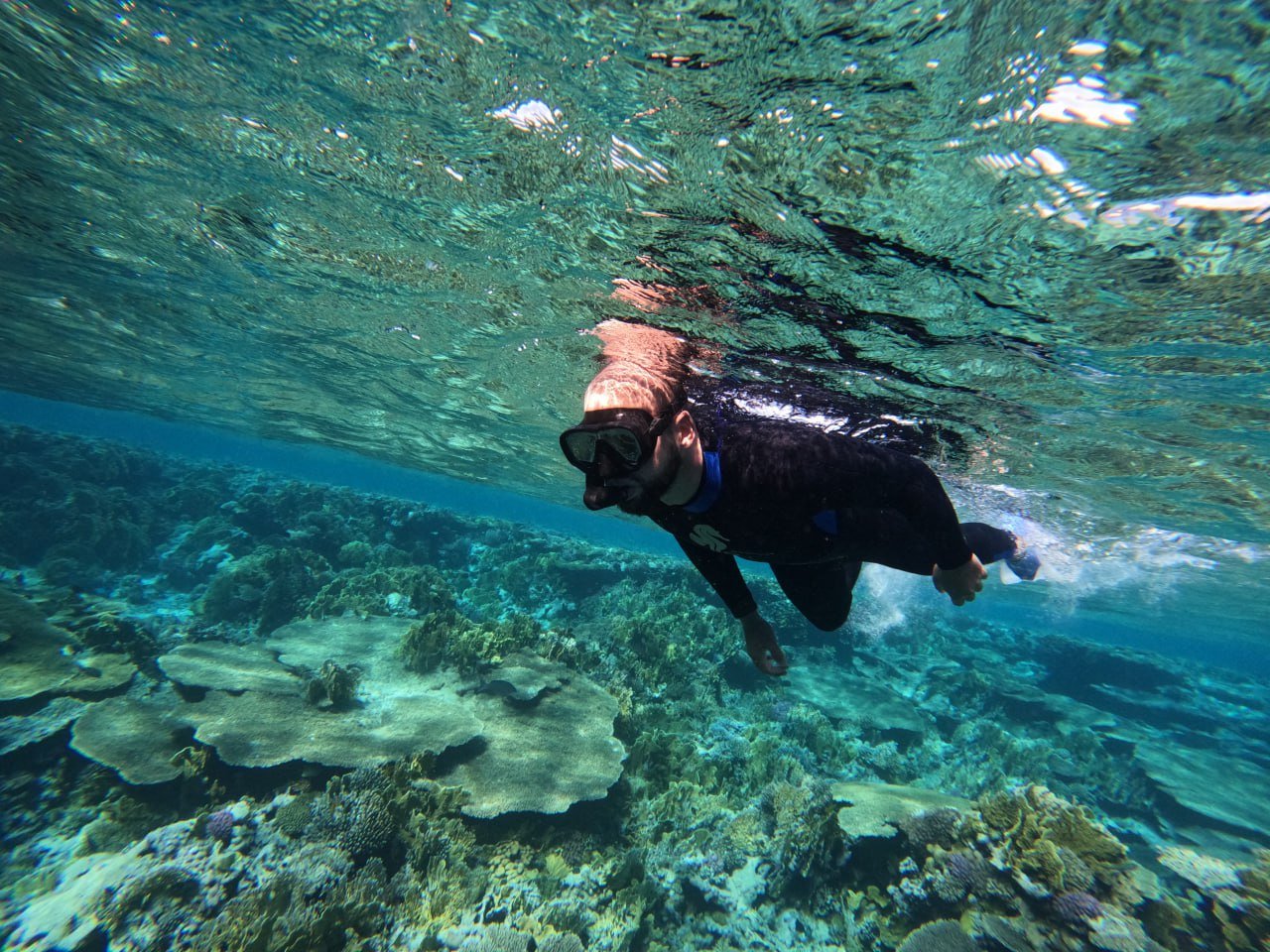 Ras Mohamed National Park (Private by car) - Image 5