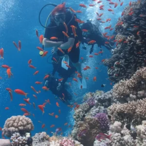 Ras Mohamed National Park
