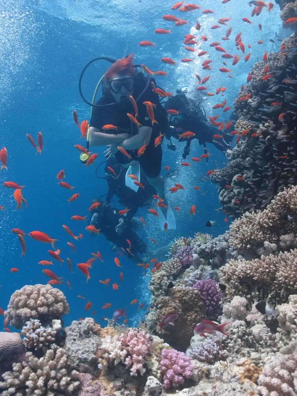 Ras Mohamed National Park (Private by car)