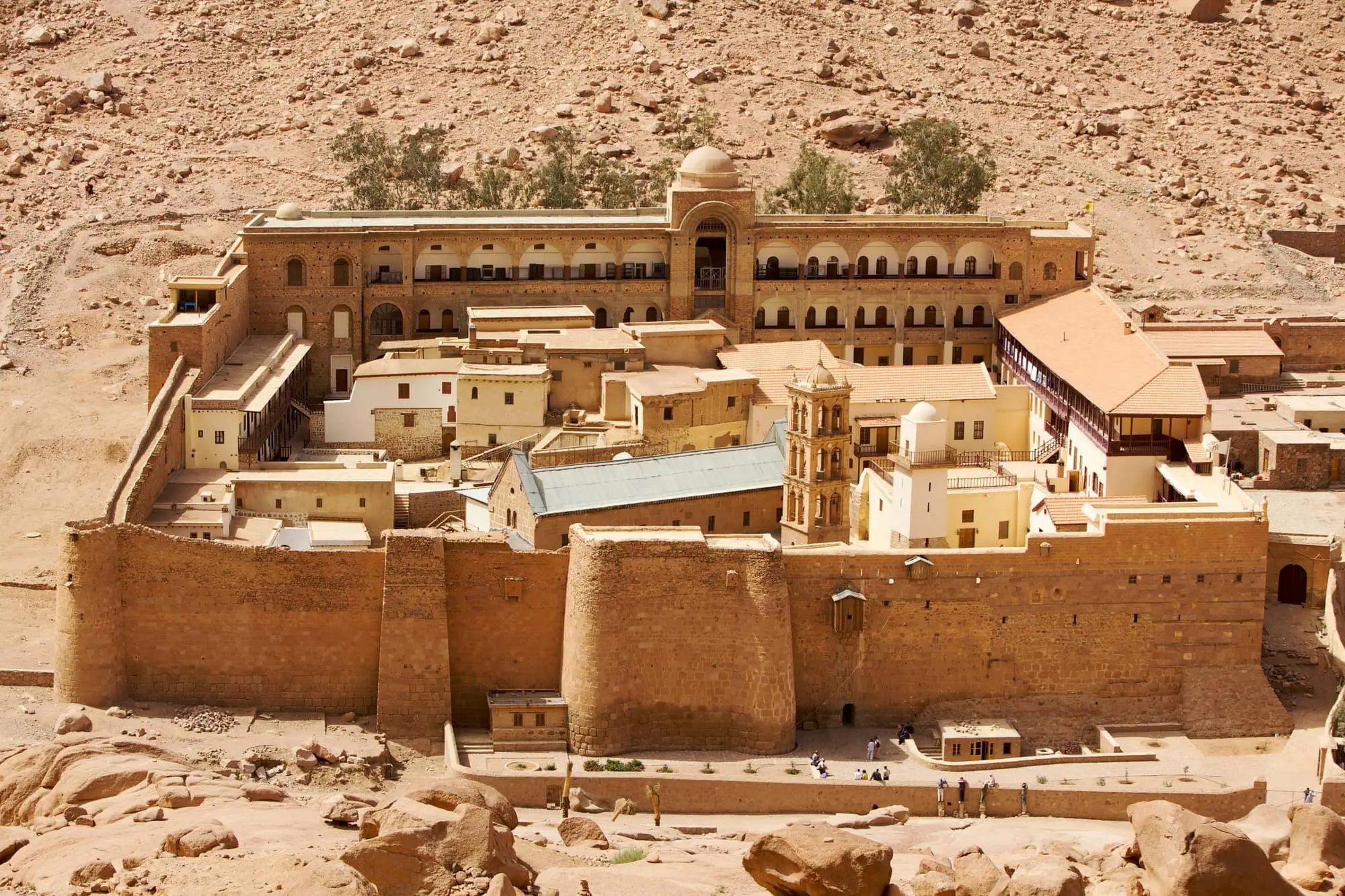 Saint Catherine - Image 2